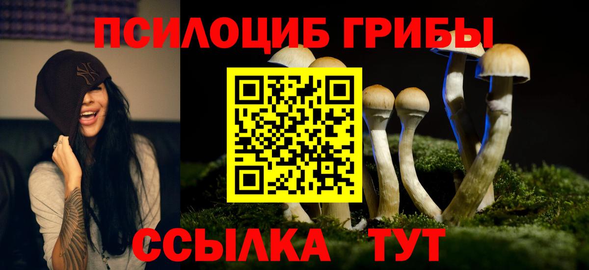 Псилоцибиновые грибы Cubensis Муравленко